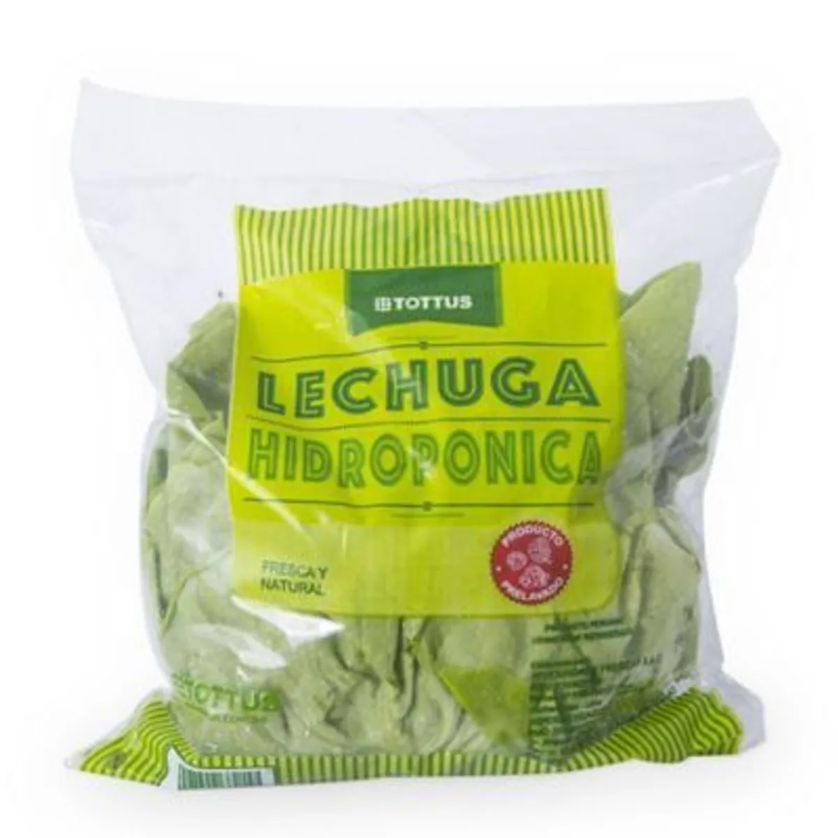TOTTUS - Lechuga Hidropónica Tottus