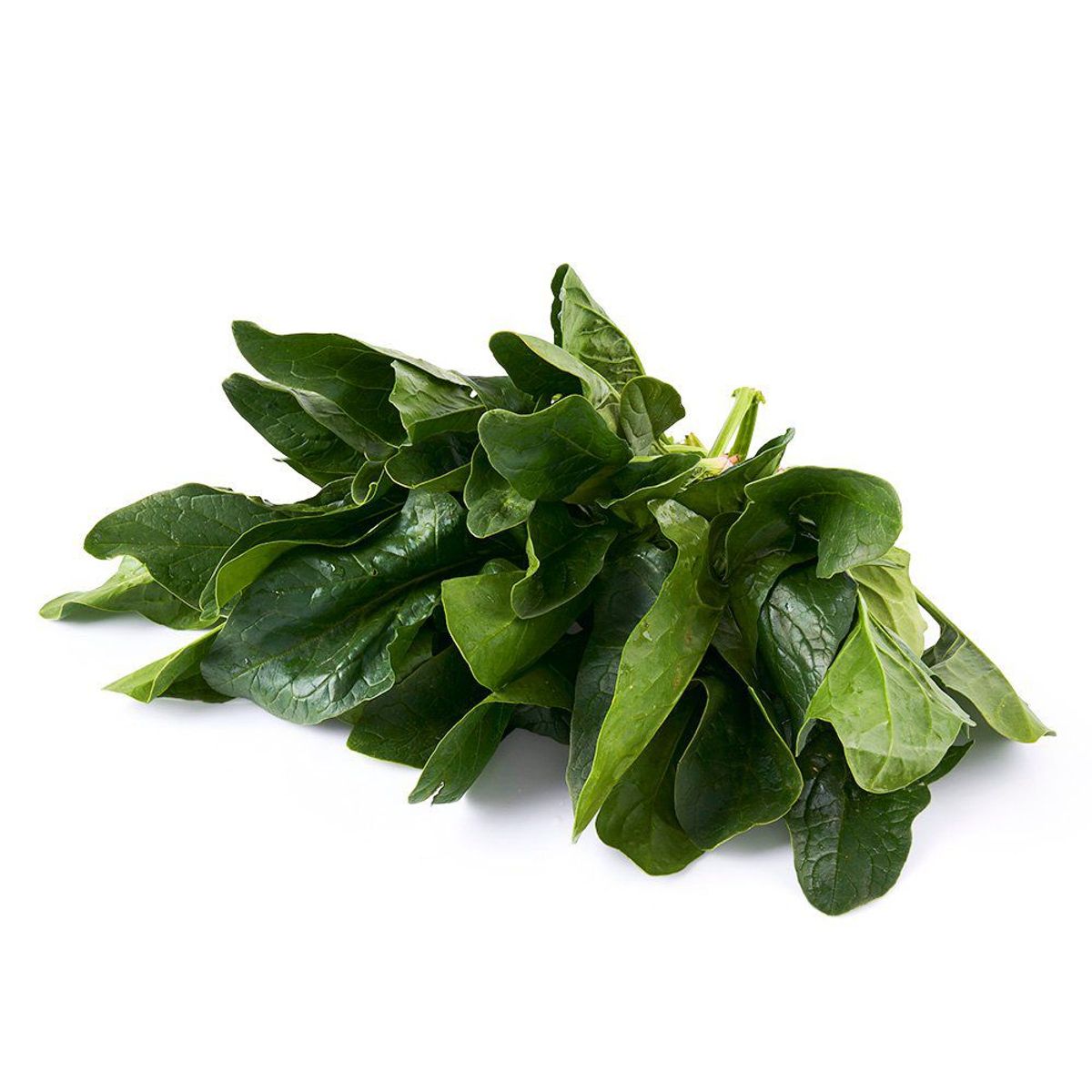 TOTTUS VERDURAS - Espinaca Baby Seleccionada Tottus