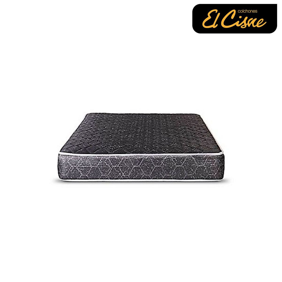 EL CISNE - Basic 1 Plz