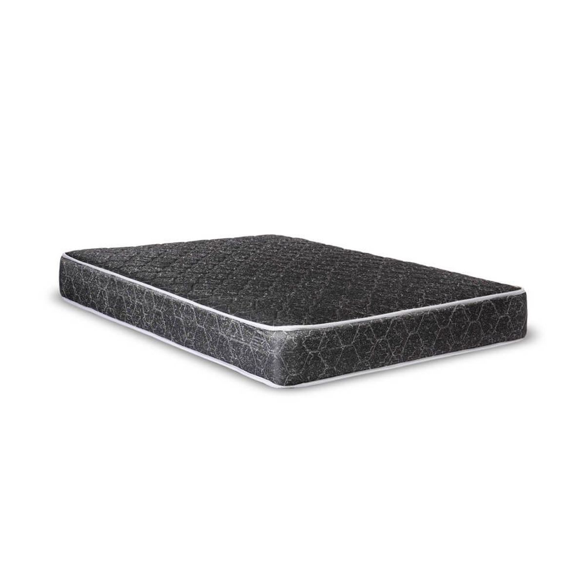 EL CISNE - Basic 1 Plz