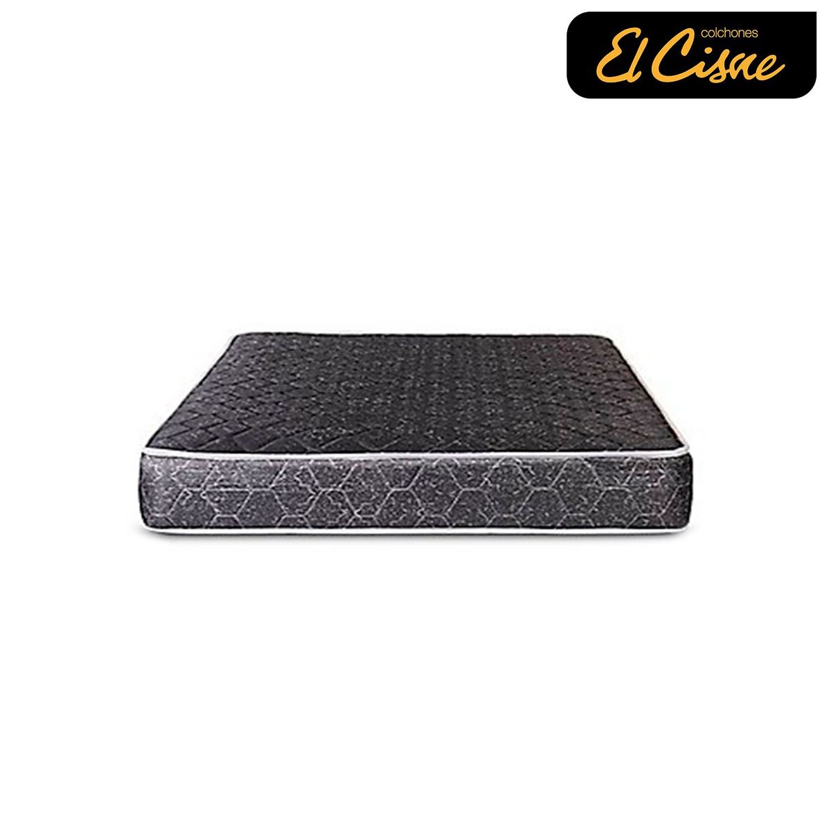 EL CISNE - Basic 2 Plz