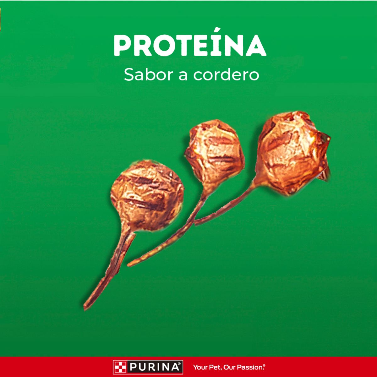 DOG CHOW - Alimento Húmedo Perros Adultos Dog Chow Cordero Doypack 100 g