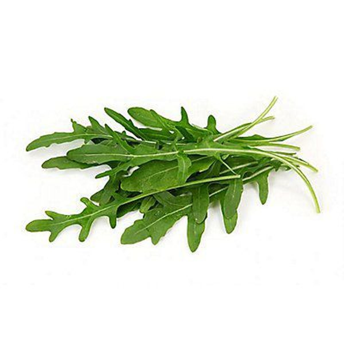 VERDE PURO - Arúgula Verde Puro