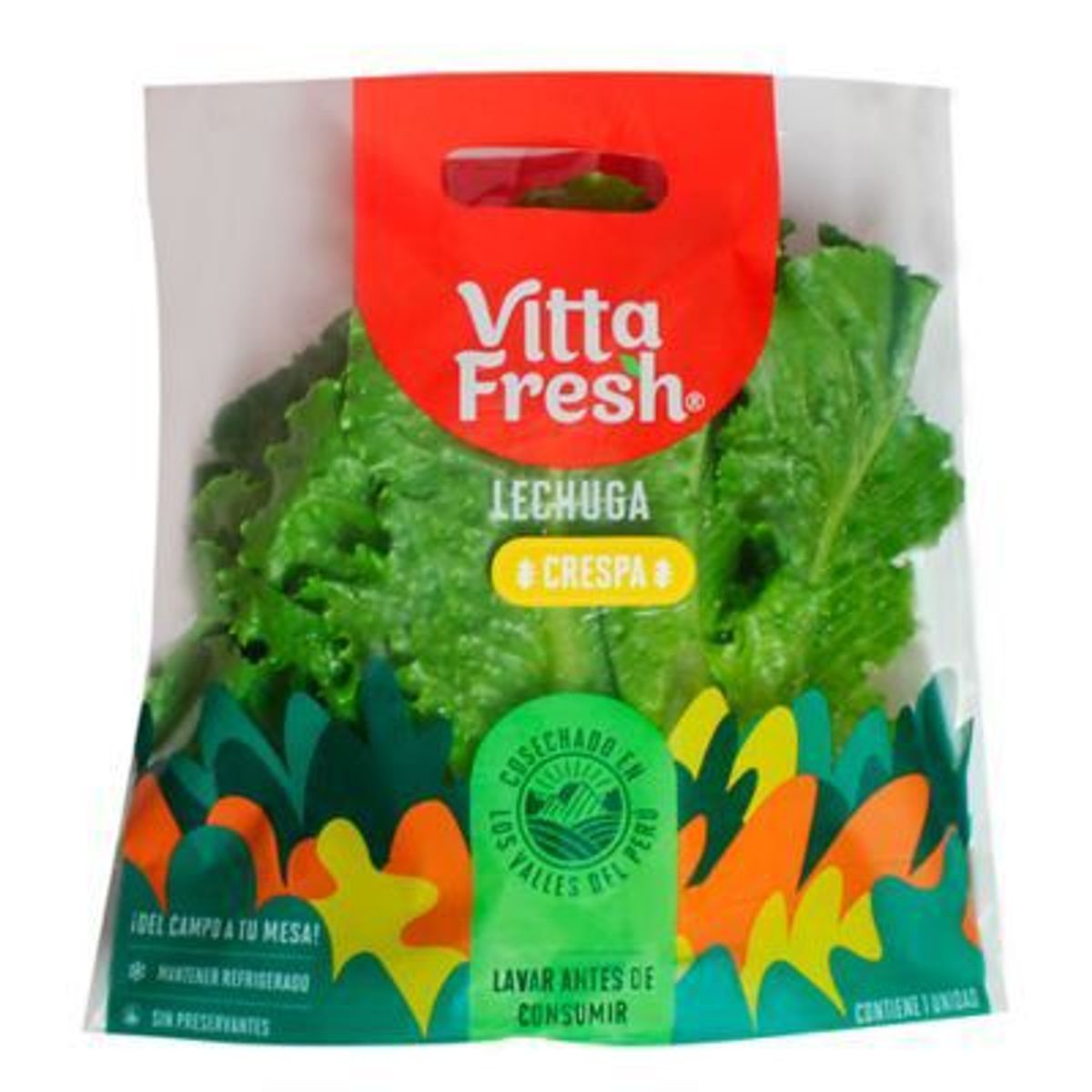 VITTA FRESH - Lechuga Crespa Granel Vitta Fresh