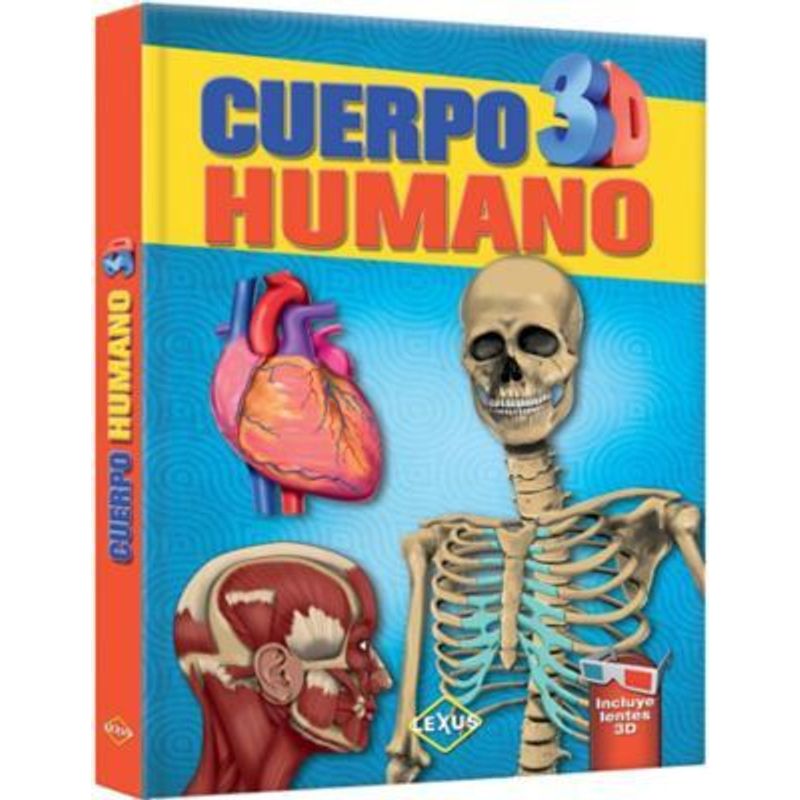 LEXUS - LXPHU1 CUERPO HUMANO 3D