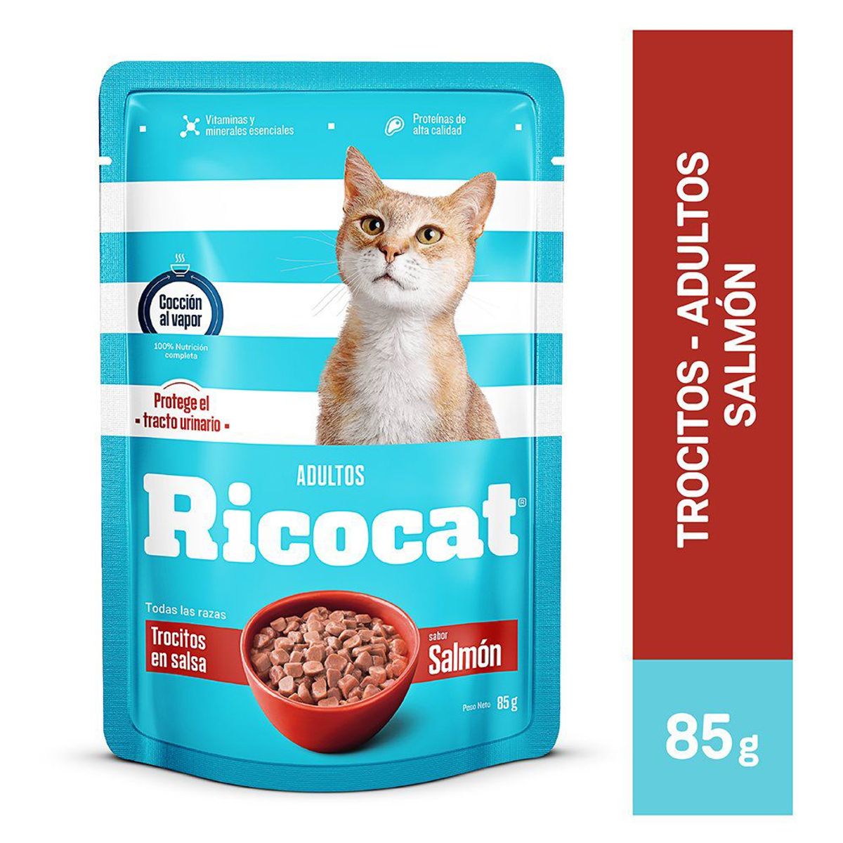 RICOCAT - Alimento Húmedo Gatos Adultos Ricocat Salmón Doypack 85 g