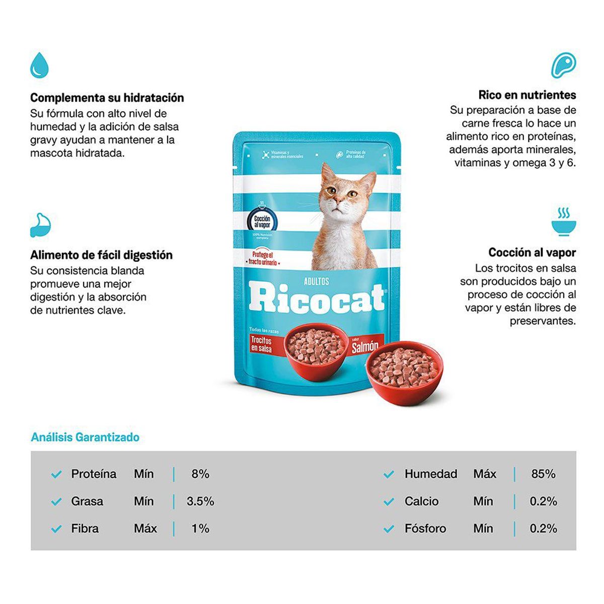 RICOCAT - Alimento Húmedo Gatos Adultos Ricocat Salmón Doypack 85 g