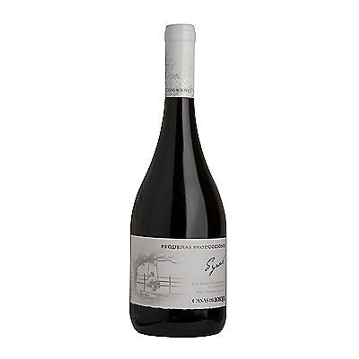 CASAS DEL BOSQUE - Vino Casas del Bosque Syrah Producciones Botella 750 mL