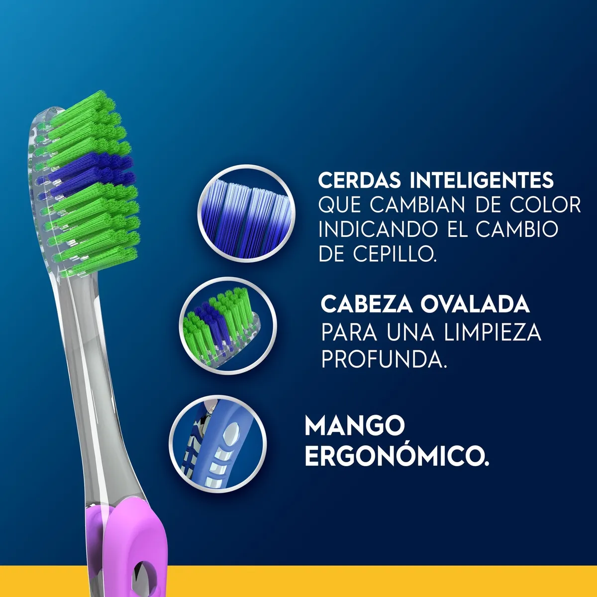 ORAL B - Cepillo Dental Oral B Indicator Color Collection Empaque 4 Und