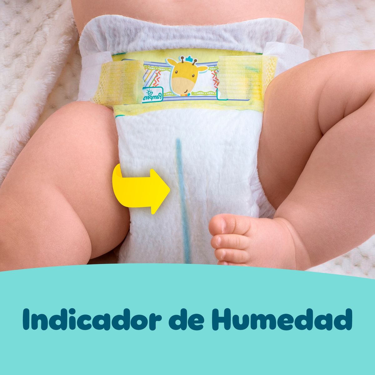 PAMPERS - Pañales Premium Care Pampers Talla P Empaque 36 Und
