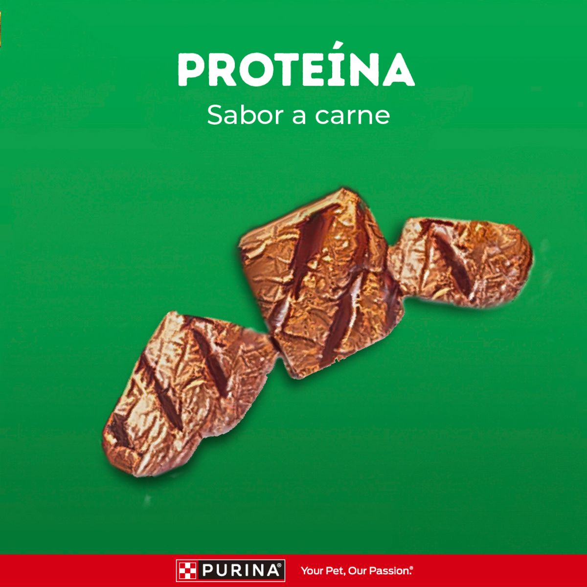 DOG CHOW - Alimento Húmedo Cachorros Pequeños Dog Chow Carne Doypack 100 g