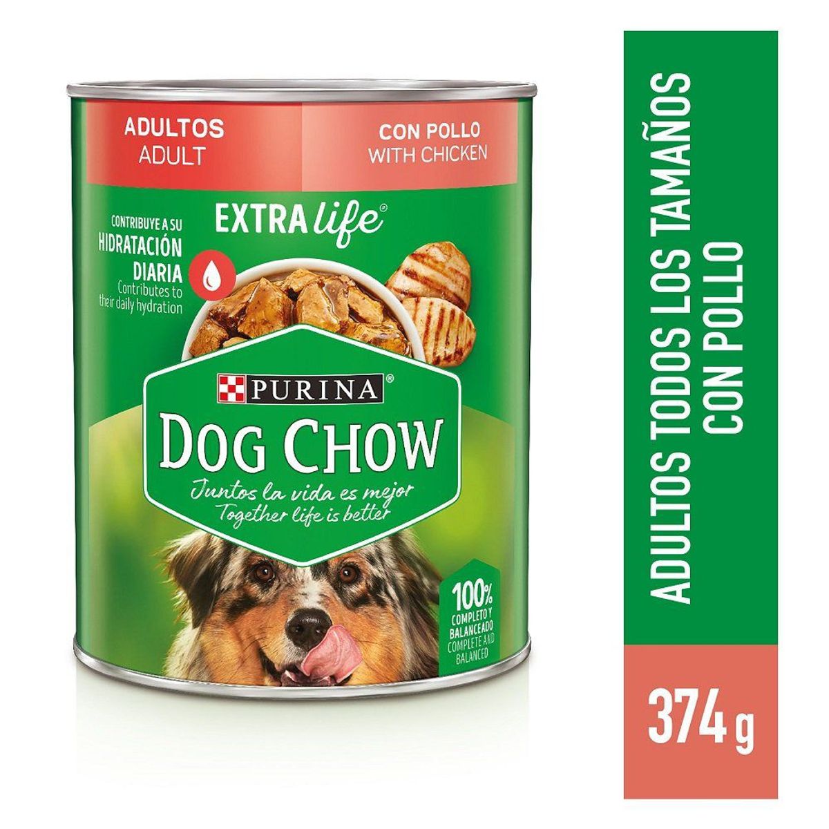 DOG CHOW - Alimento Húmedo Perros Adultos Dog Chow Pavo Pollo Lata 374 g