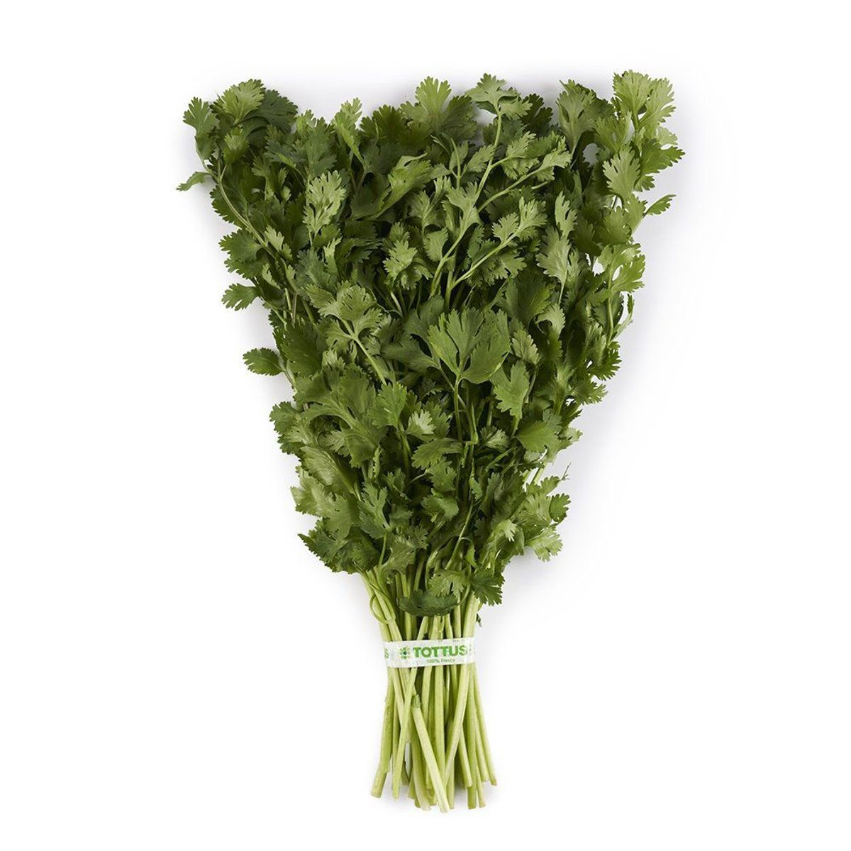 TOTTUS VERDURAS - Culantro Tottus