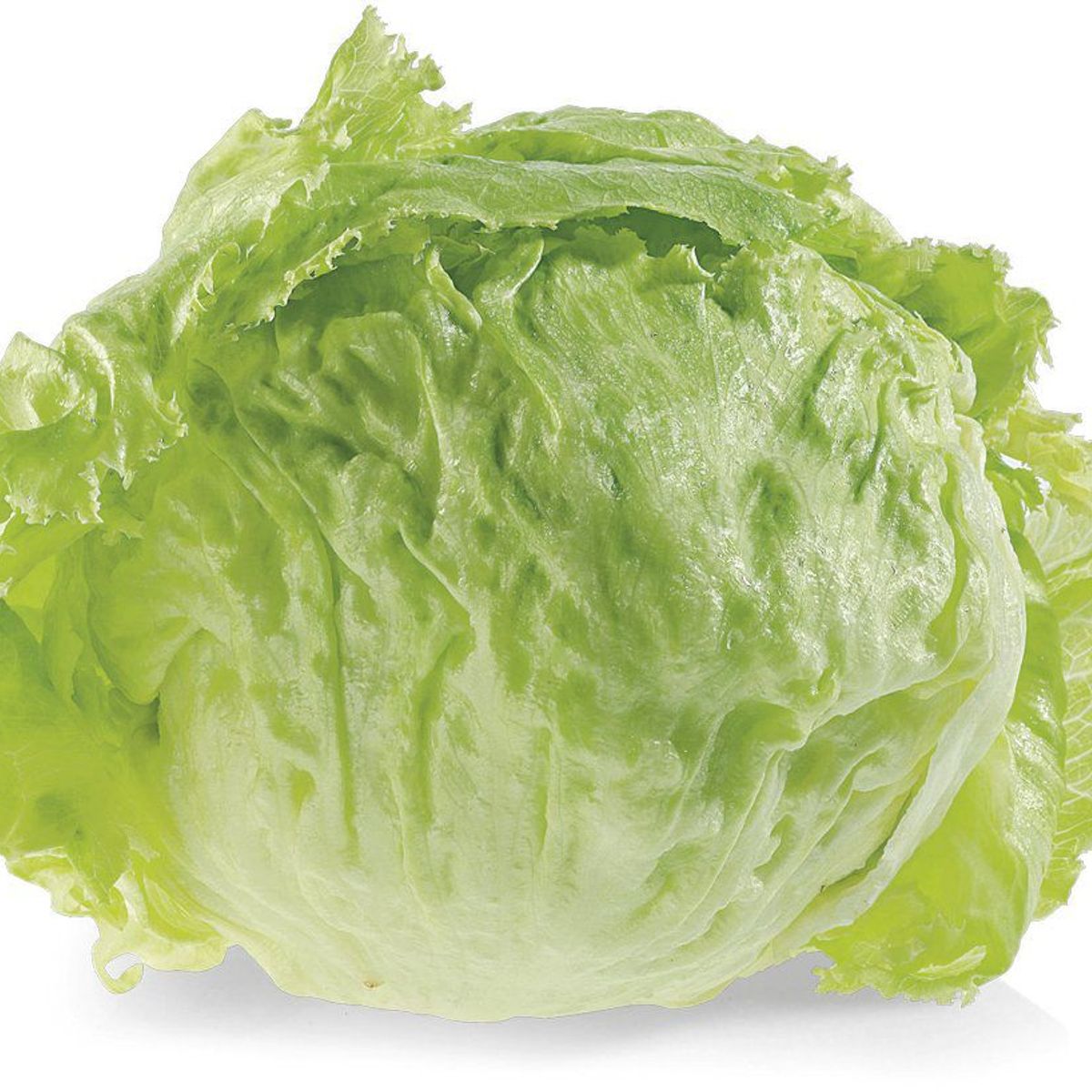 TOTTUS VERDURAS - Lechuga Americana Tottus