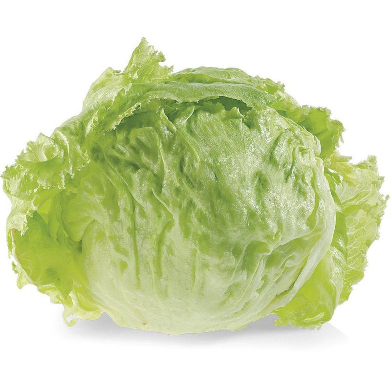 TOTTUS VERDURAS - Lechuga Americana Tottus
