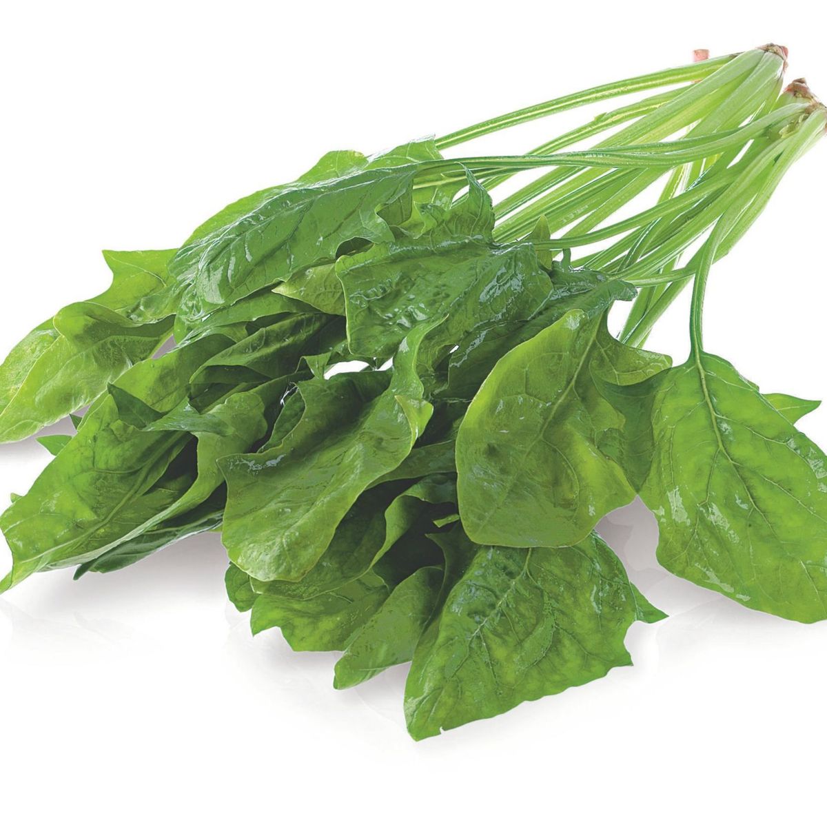 TOTTUS - Espinaca Tottus