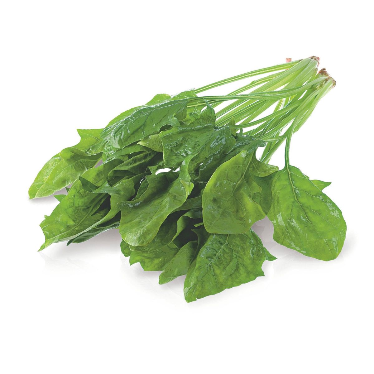 TOTTUS - Espinaca Tottus