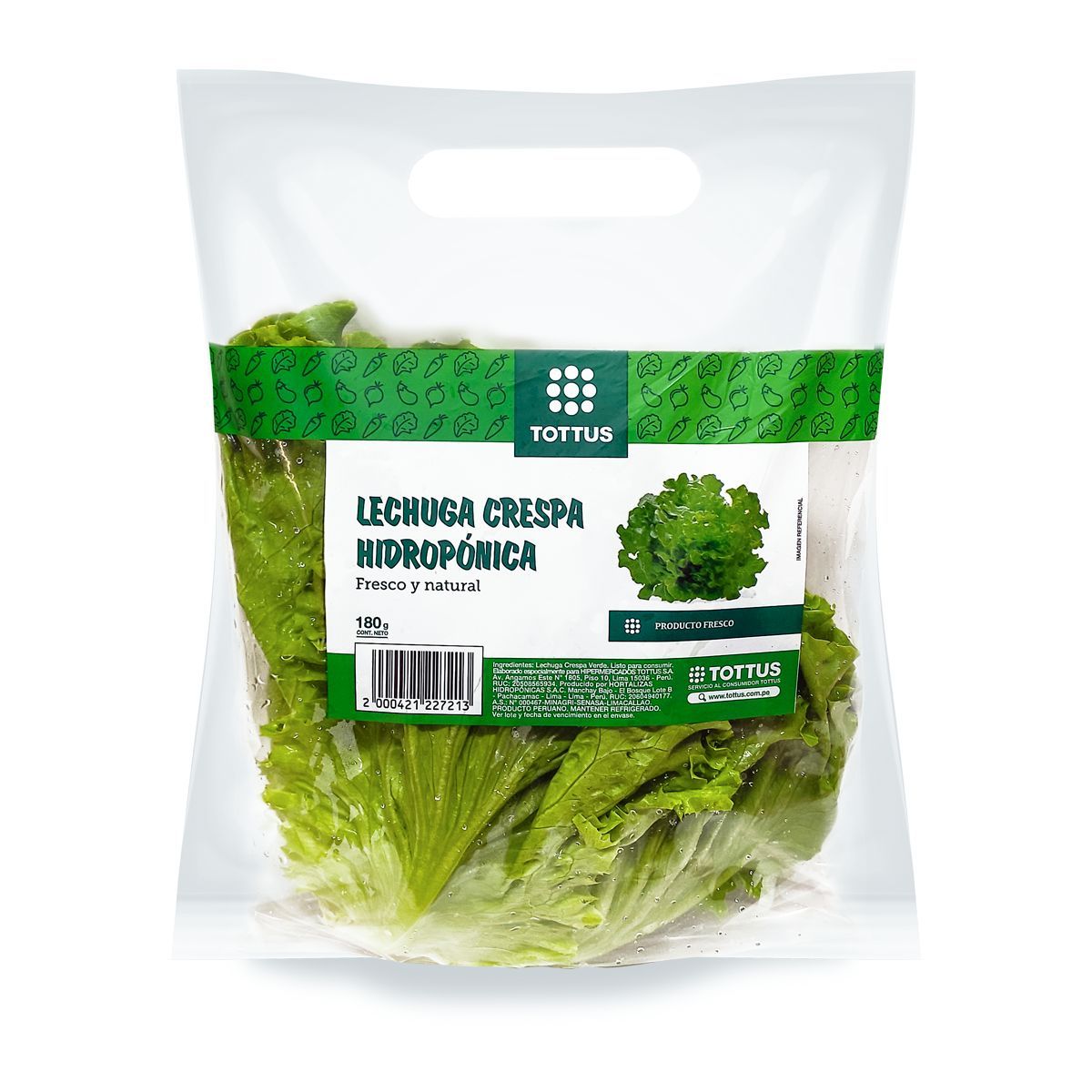 TOTTUS - Lechuga Crespa Verde Hidropónica Tottus
