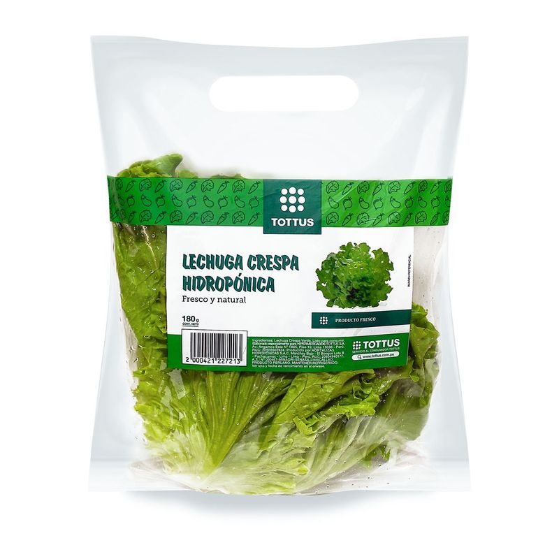 TOTTUS VERDURAS - Lechuga Crespa Verde Hidropónica Tottus