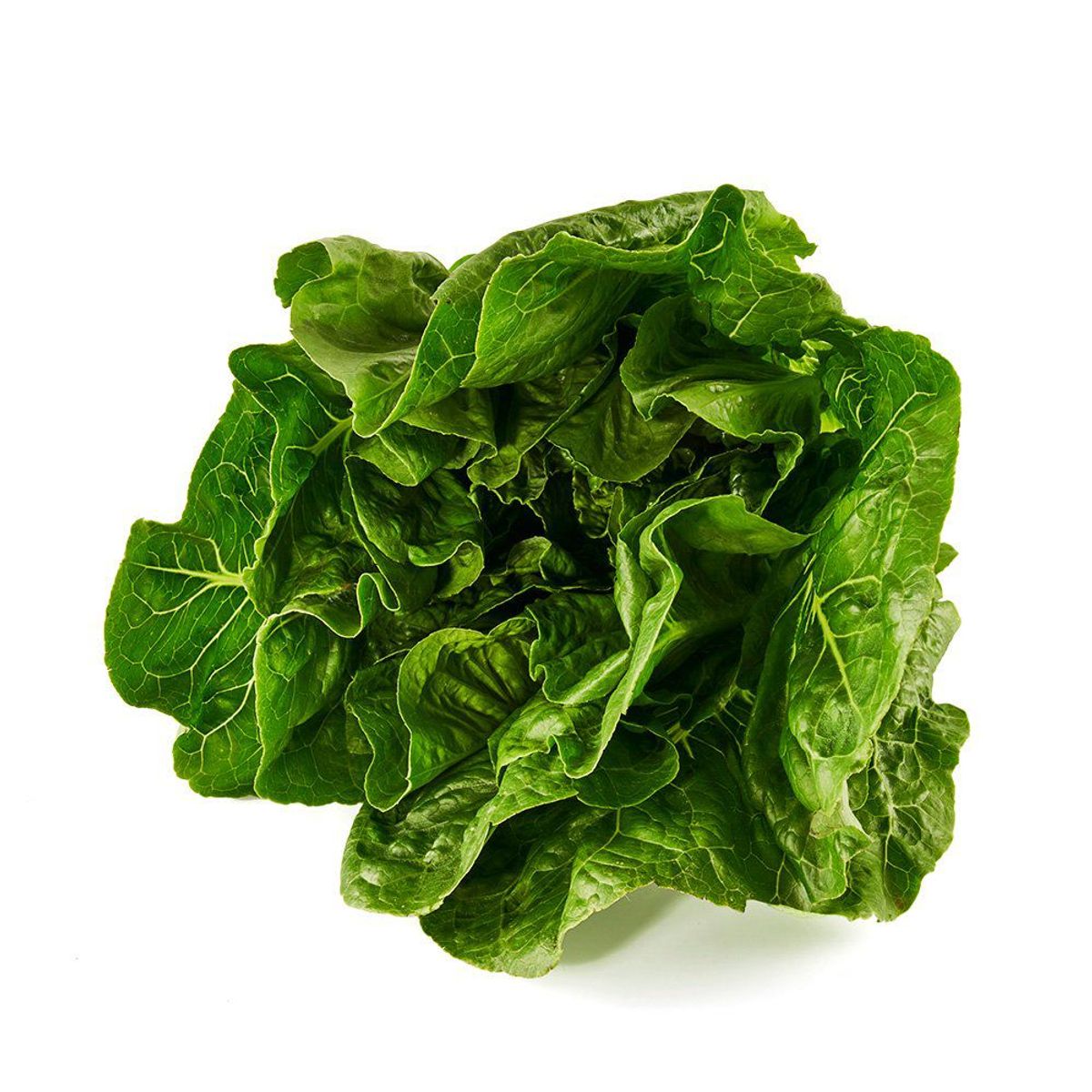 TOTTUS VERDURAS - Lechuga Romana Hidropónica Tottus