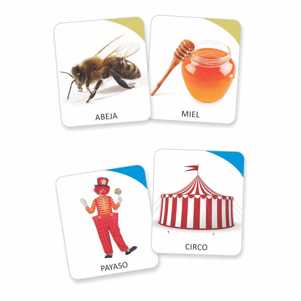 ARTI CREATIVO - Juego De Asociación Y Memoria Arti Creativo 48 Piezas