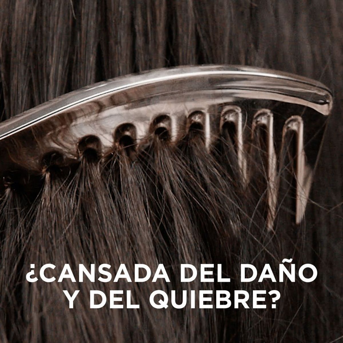 PANTENE - Acondicionador Pantene Bambú Envase 170 mL