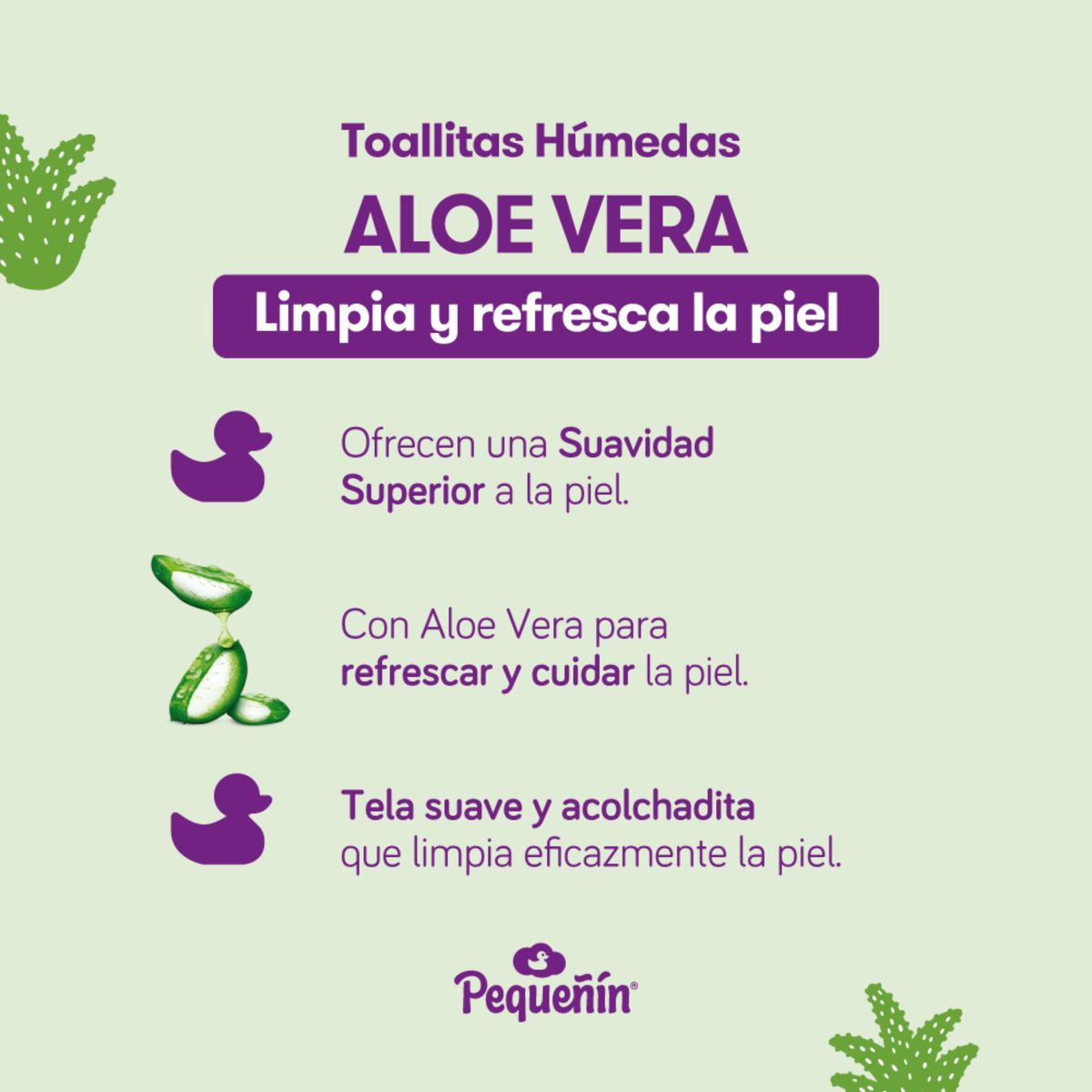 PEQUENIN - Toallitas Húmedas Pequeñin Aloe Vera Empaque 100 Und