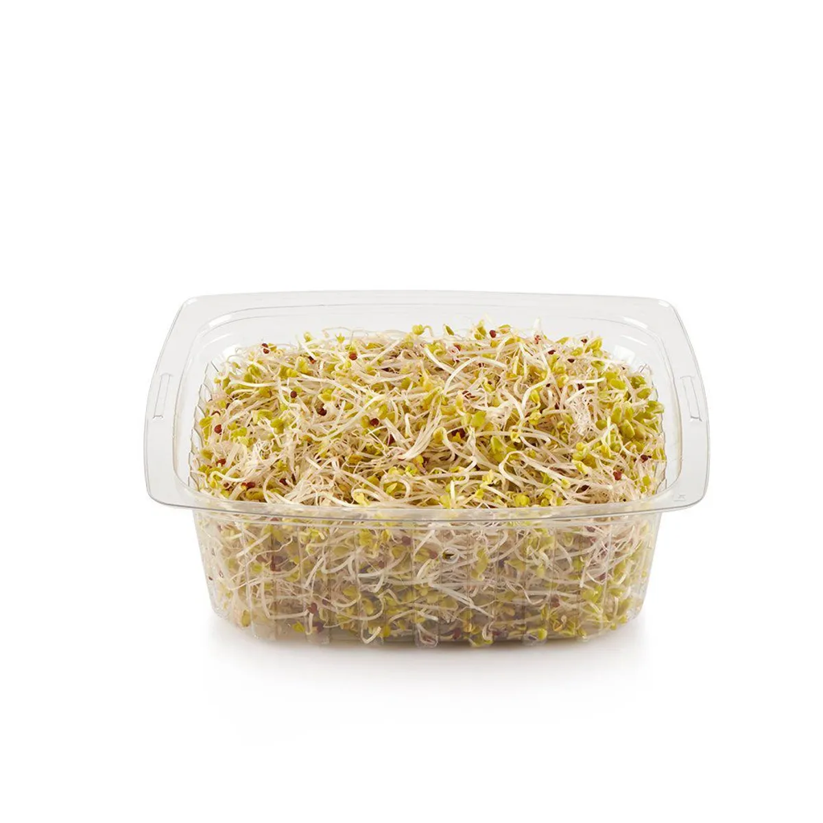 TOTTUS VERDURAS - Sprouts Germinado De Brócoli Tottus
