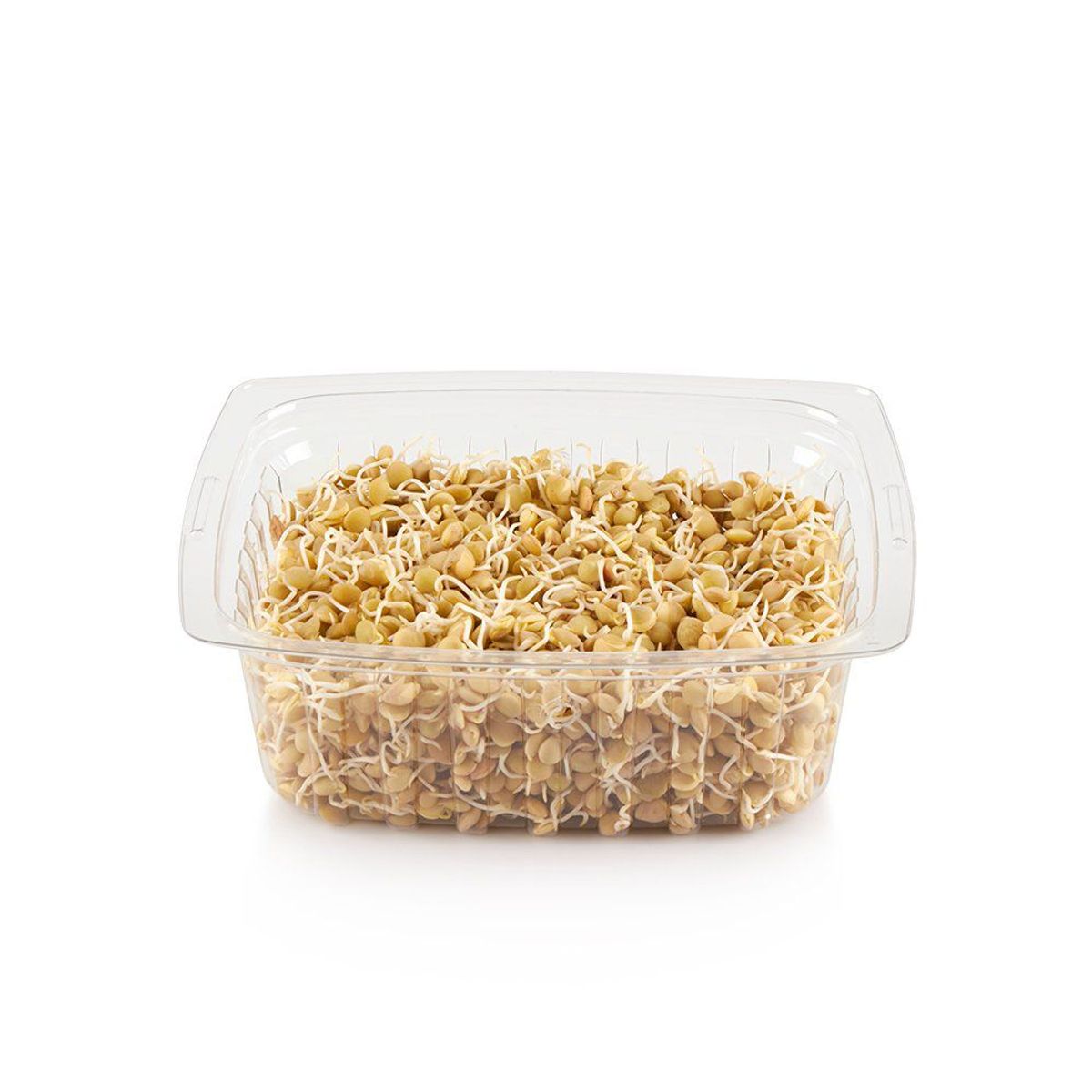 TOTTUS VERDURAS - Sprouts Germinado De Lenteja