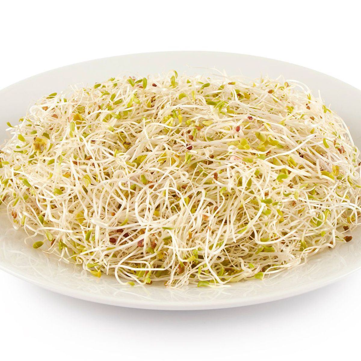 TOTTUS - Sprouts Mix De Germinados