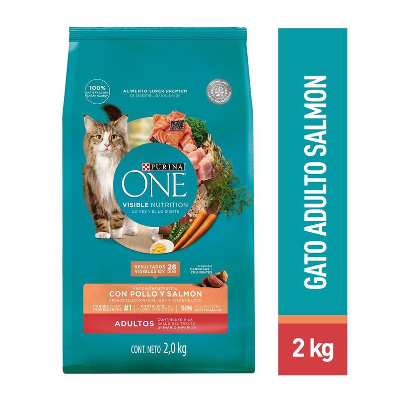 PURINA ONE - Comida para Gatos Purina One Adultos Sabor Pollo y Salmón 2 kg