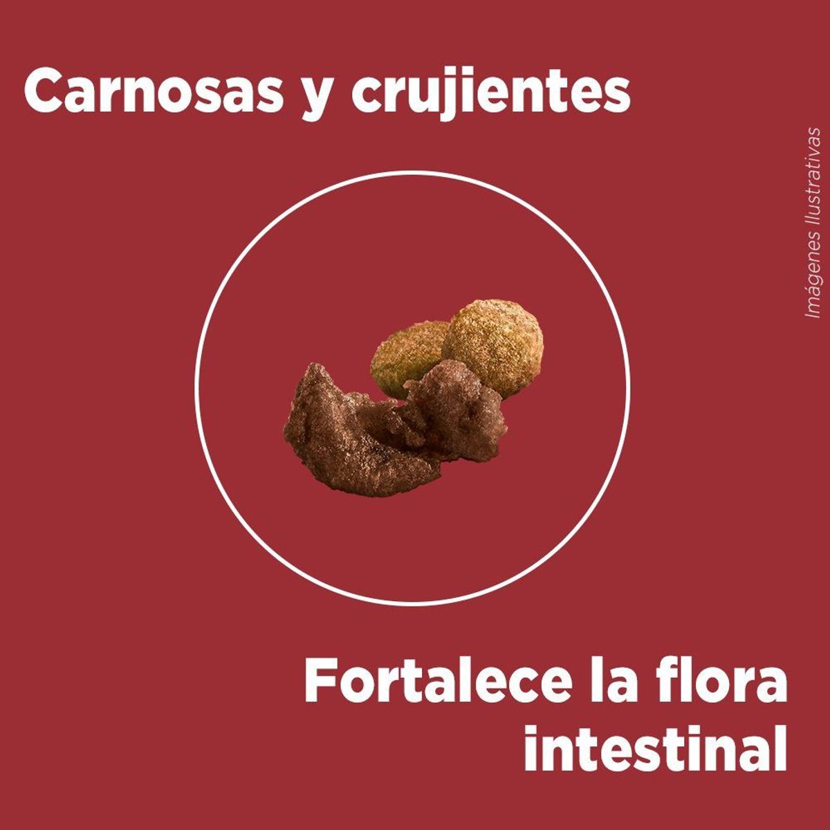 PURINA ONE - Alimento Seco Cachorros Purina One Pollo Carne Bolsa 2 Kg