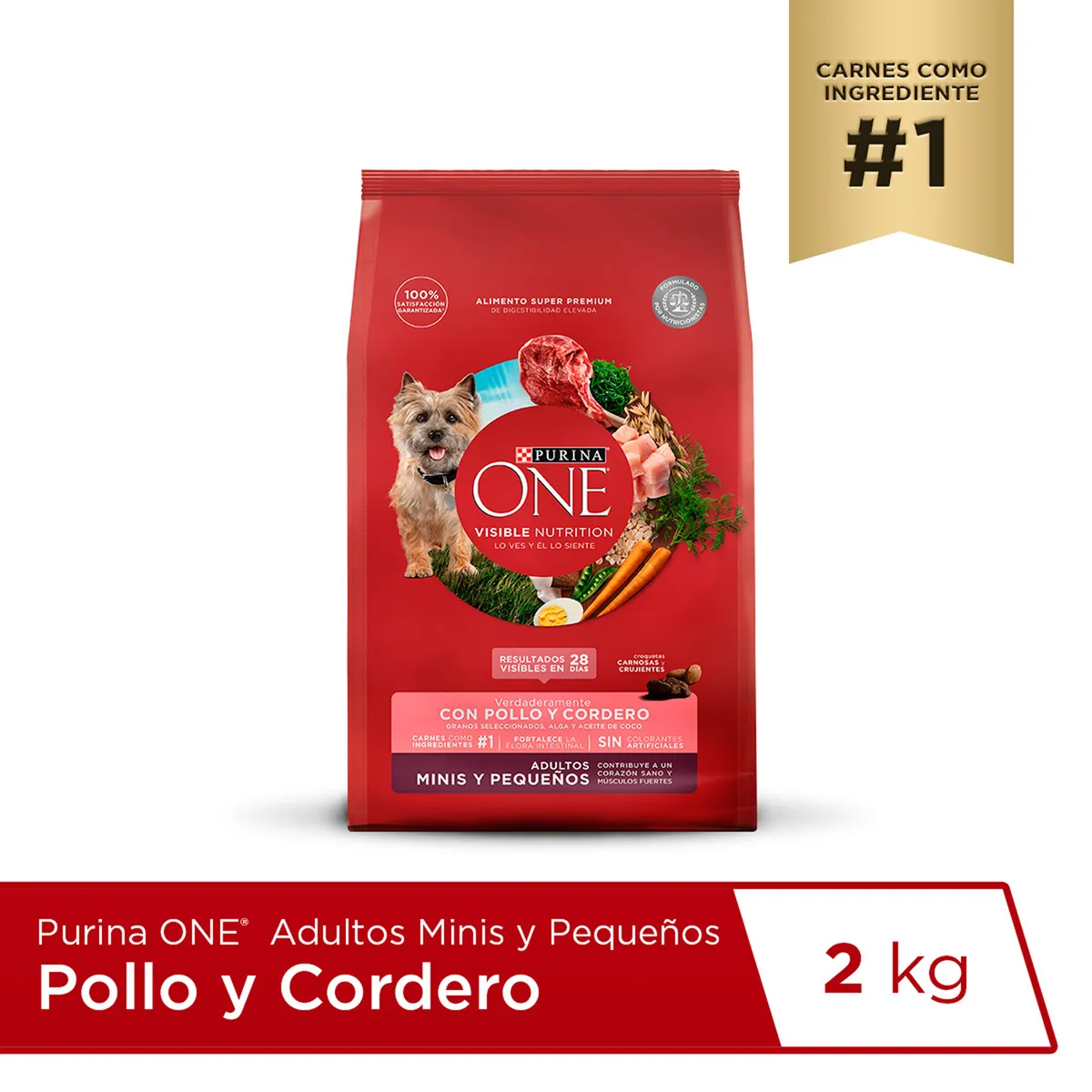PURINA ONE - Alimento Seco Perros Minis y Pequeños Purina One Pollo Cordero Bolsa 2 Kg