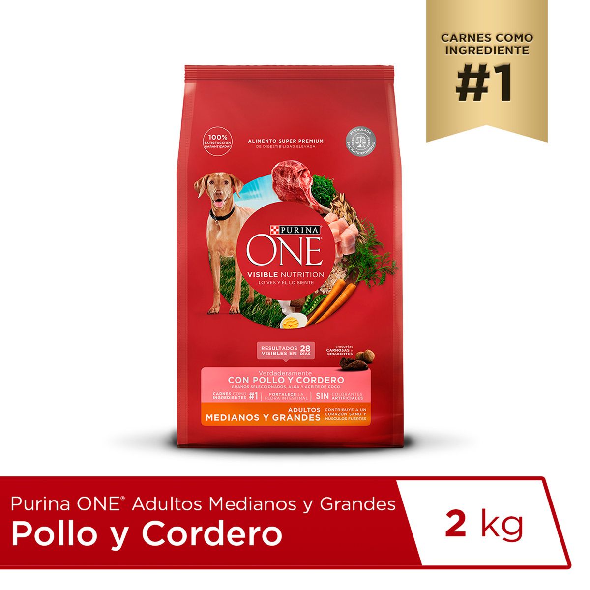 PURINA ONE - Alimento Seco Perros Adultos Grandes Purina One Pollo Cordero Bolsa 2 Kg