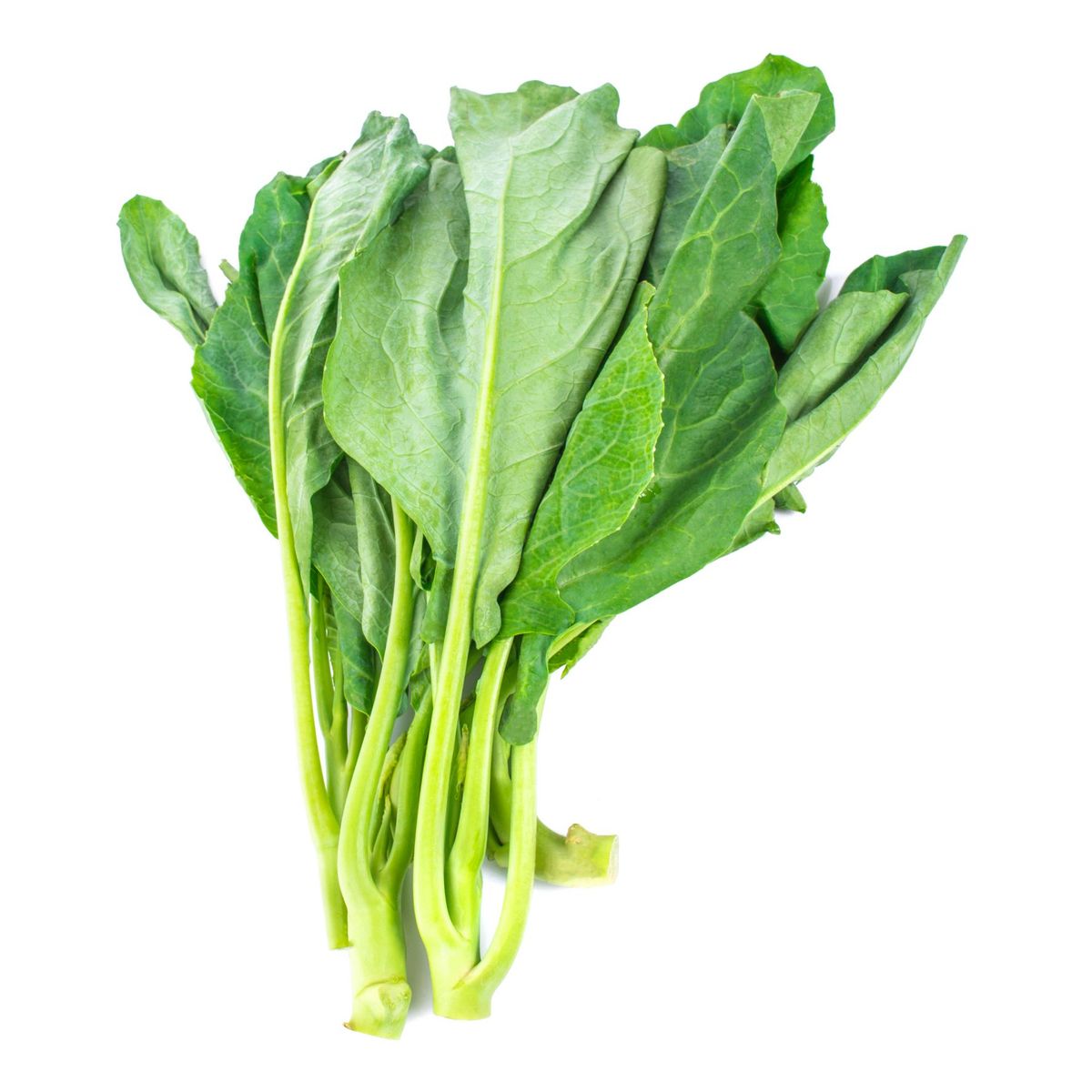 TOTTUS VERDURAS - Acelga Hidropónico Tottus X 500 g