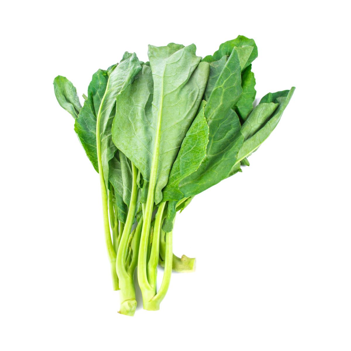 TOTTUS VERDURAS - Acelga Hidropónico Tottus X 500 g