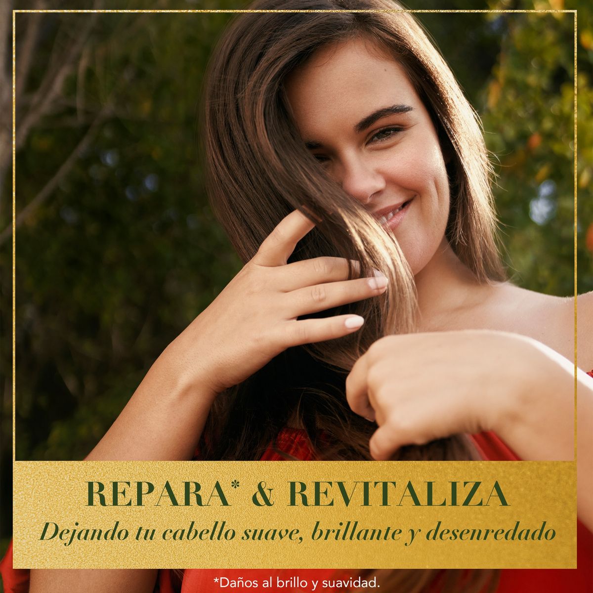 HERBAL ESSENCES - Acondicionador Herbal Essences Argan Oil Repair Botella 245 mL