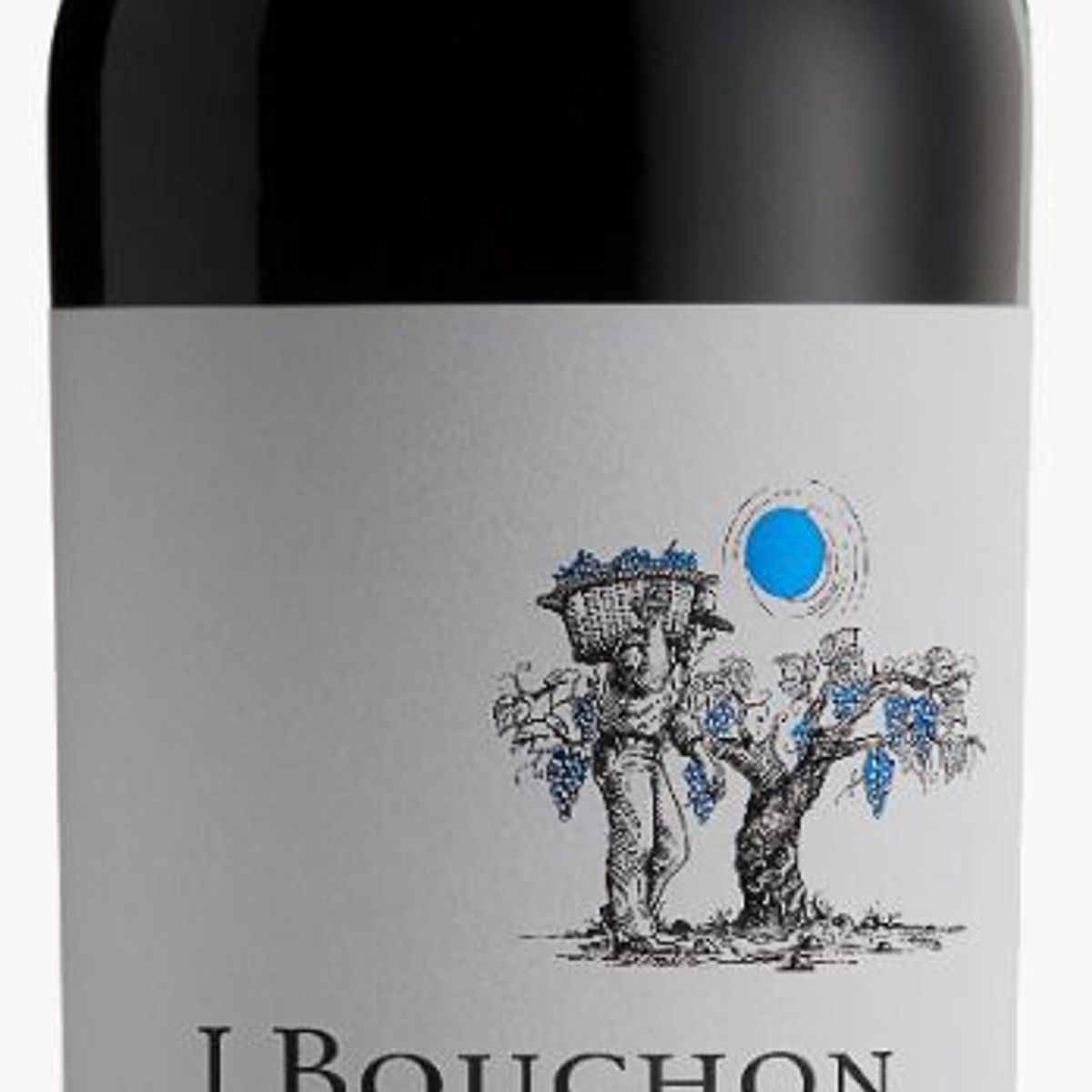 J BOUCHON - Vino J Bouchon Reserva Carmenere Botella 750 mL