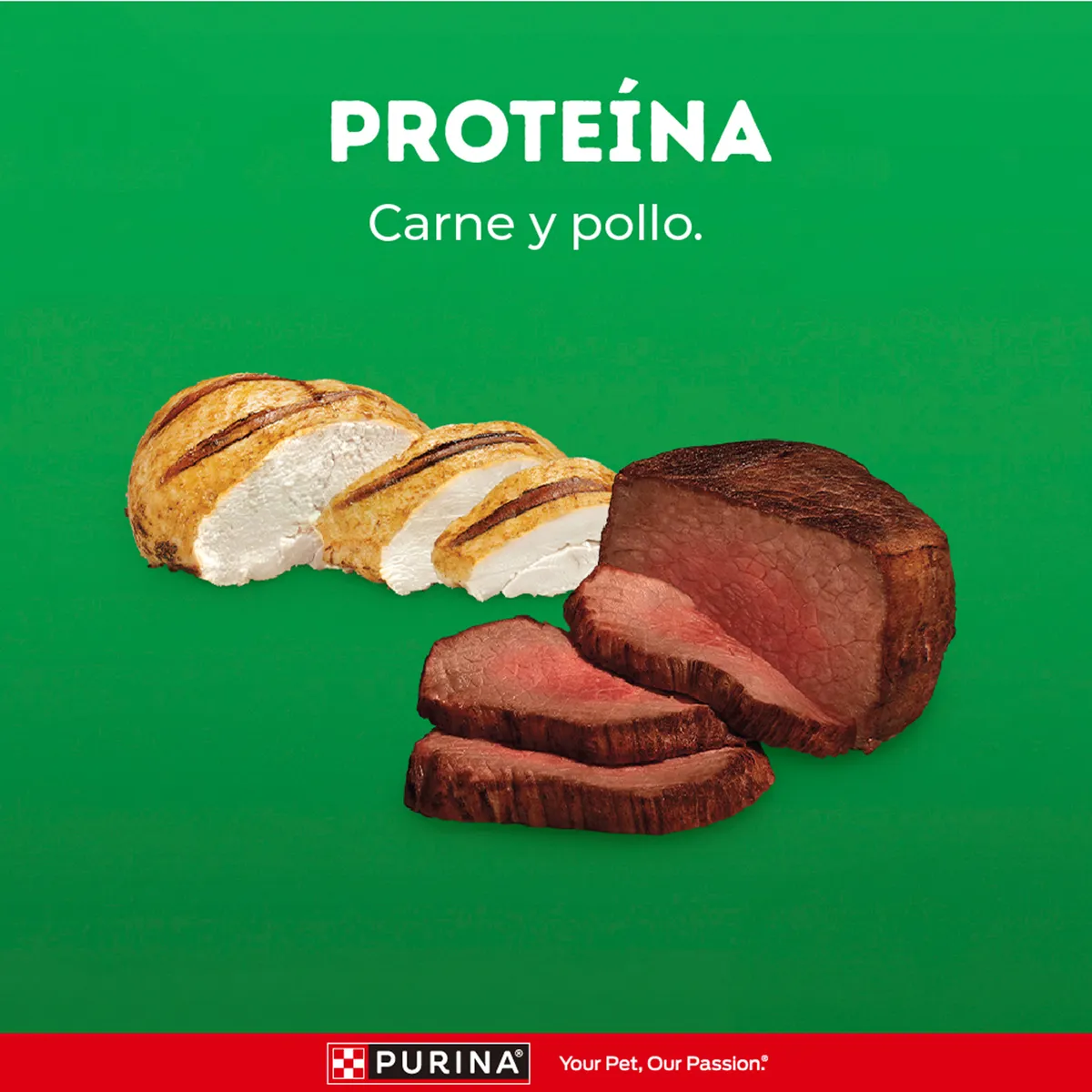 DOG CHOW - Alimento Seco Perros Adultos Grandes Dog Chow Carne Pollo Bolsa 475 g