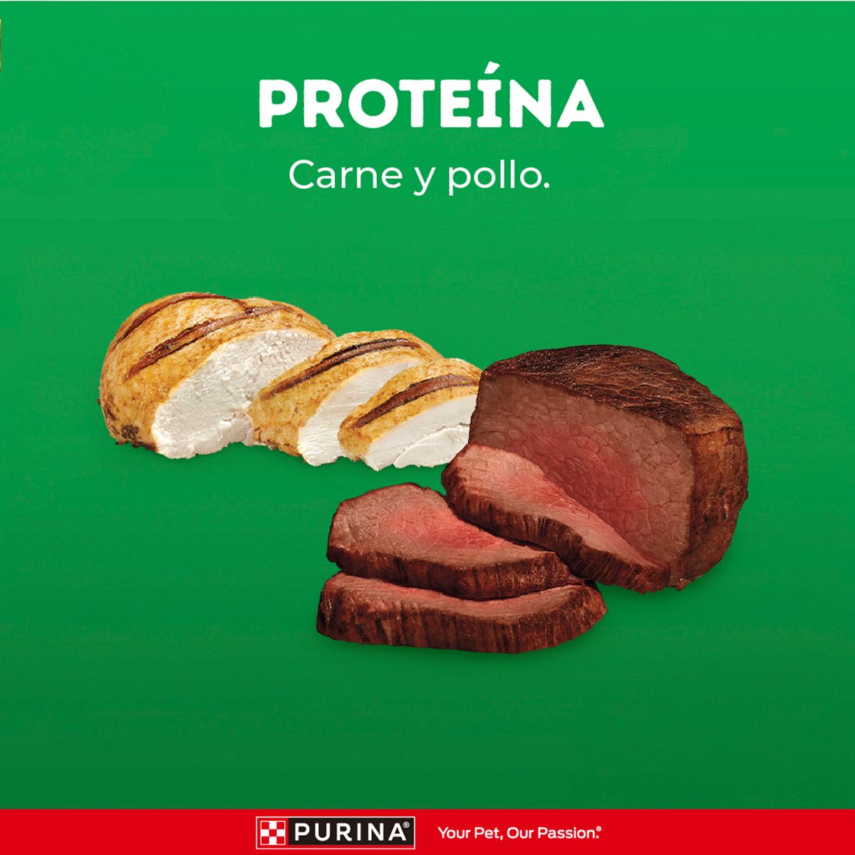 DOG CHOW - Alimento Seco Perros Adultos Mini Pequeño Dog Chow Carne Pollo Bolsa 3 Kg