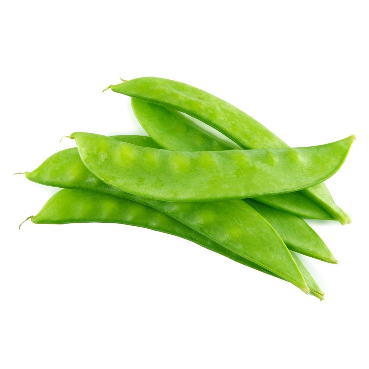 TOTTUS VERDURAS - Holantao Empacado x Un