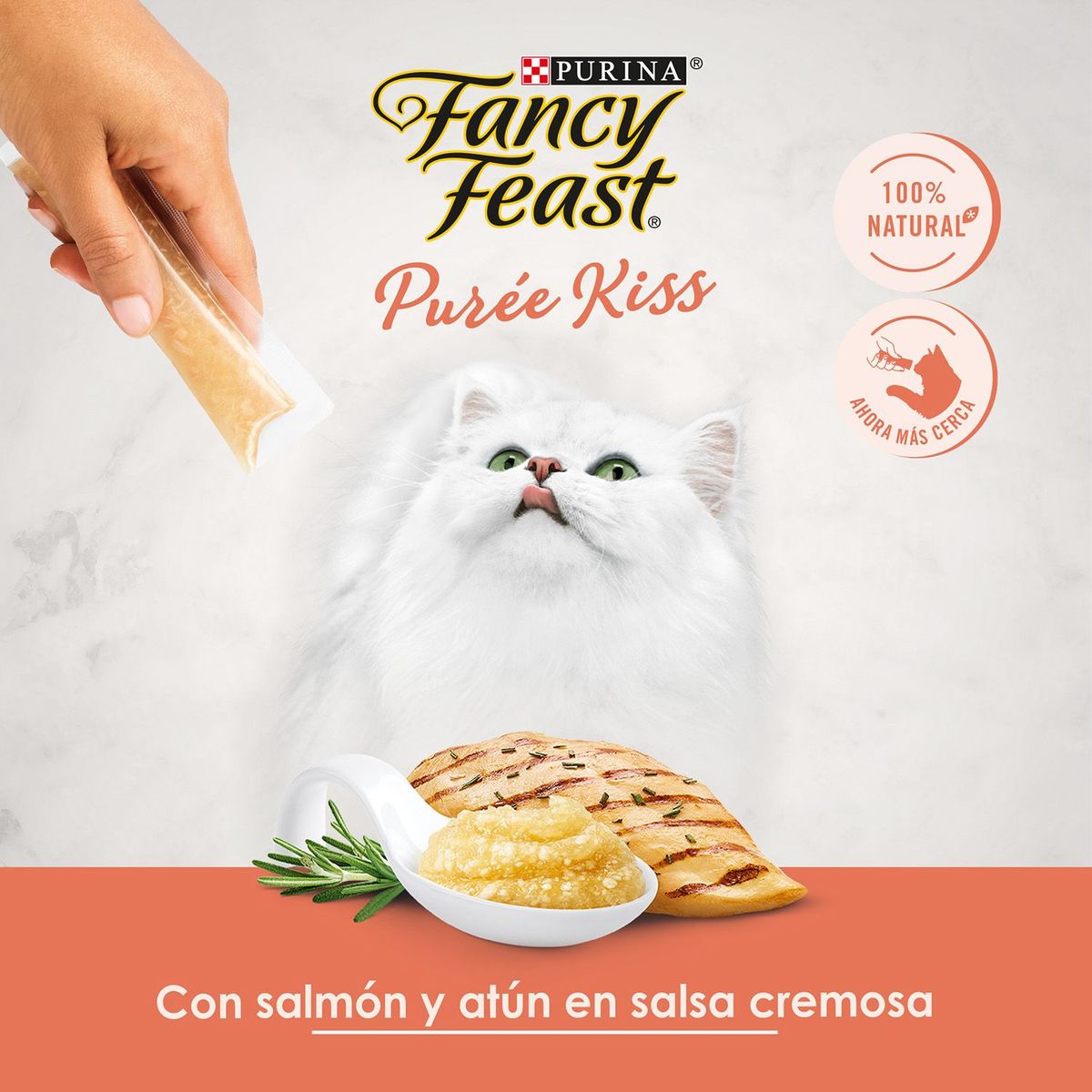 FANCY FEAST - Alimento Húmedo para Gato Fancy Feast Purée Kiss Salmón Doypack 40 g