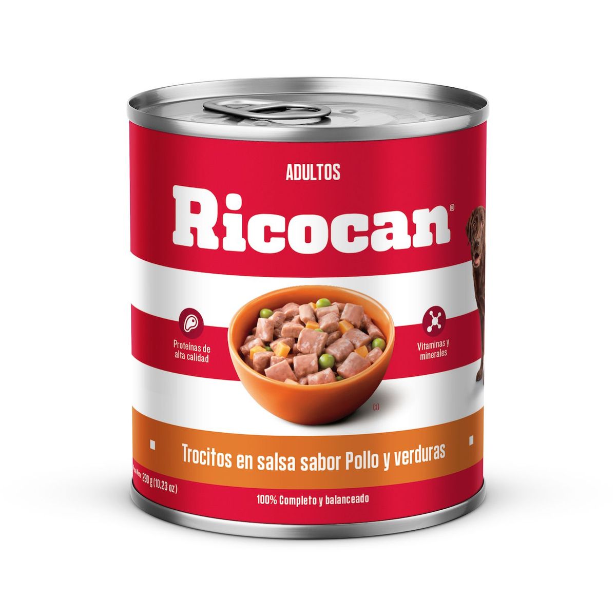RICOCAN - Alimento Húmedo Perros Adultos Ricocan Pollo y Verdura Lata 290 g