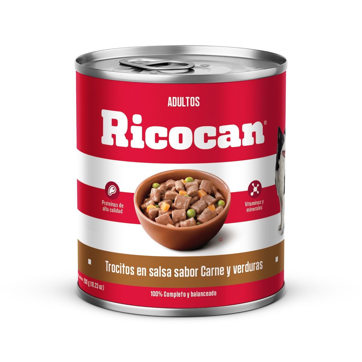 RICOCAN - Alimento Húmedo Perros Adultos Ricocan Carne y Verdura Lata 290 g
