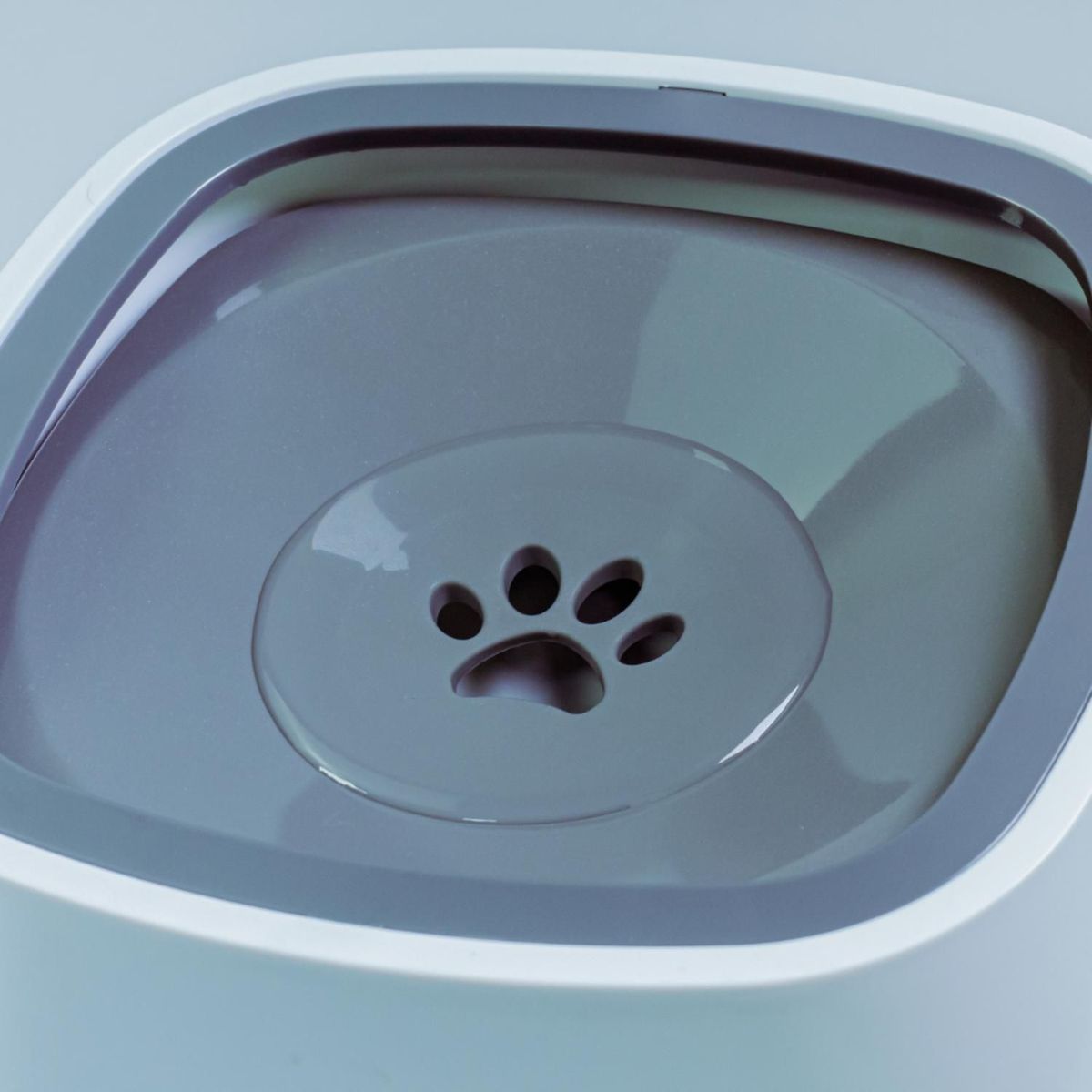 CLAWS PAWS - Bebedero de Agua para Mascota Claws Paws