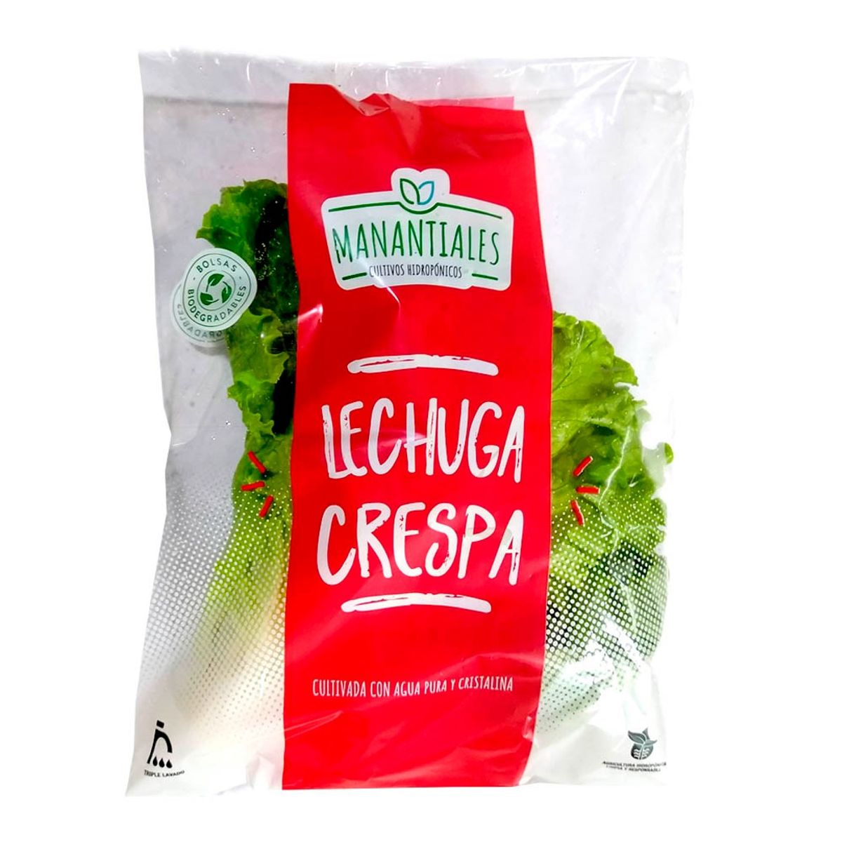 MANANTIALES - Lechuga Crespa Hidropónica Manantiales 250 g