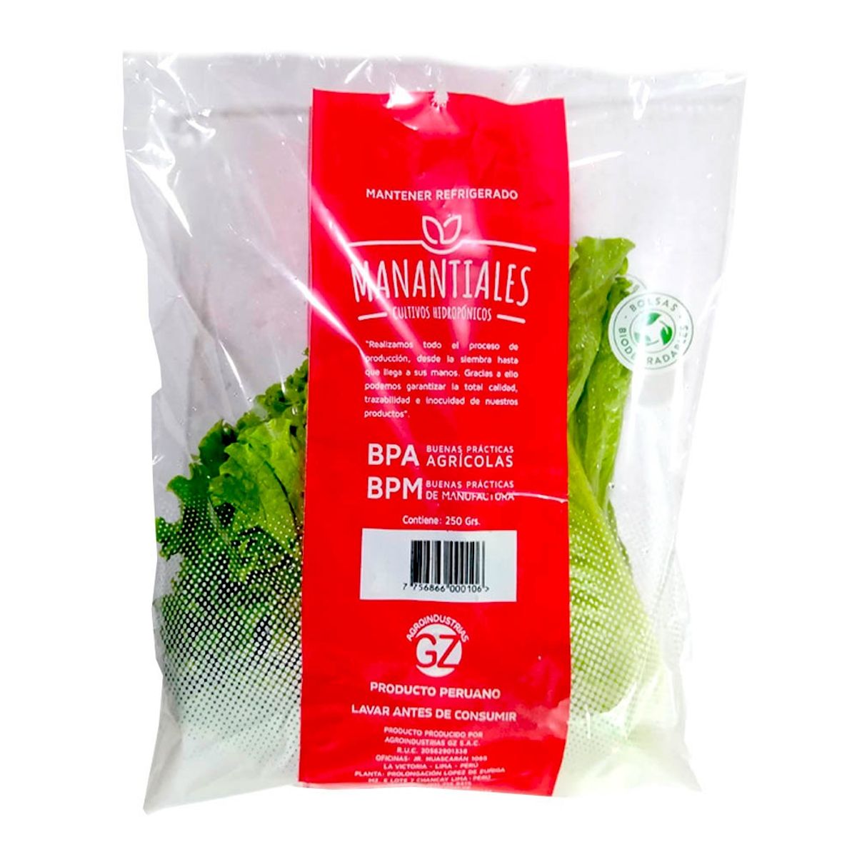 MANANTIALES - Lechuga Crespa Hidropónica Manantiales 250 g