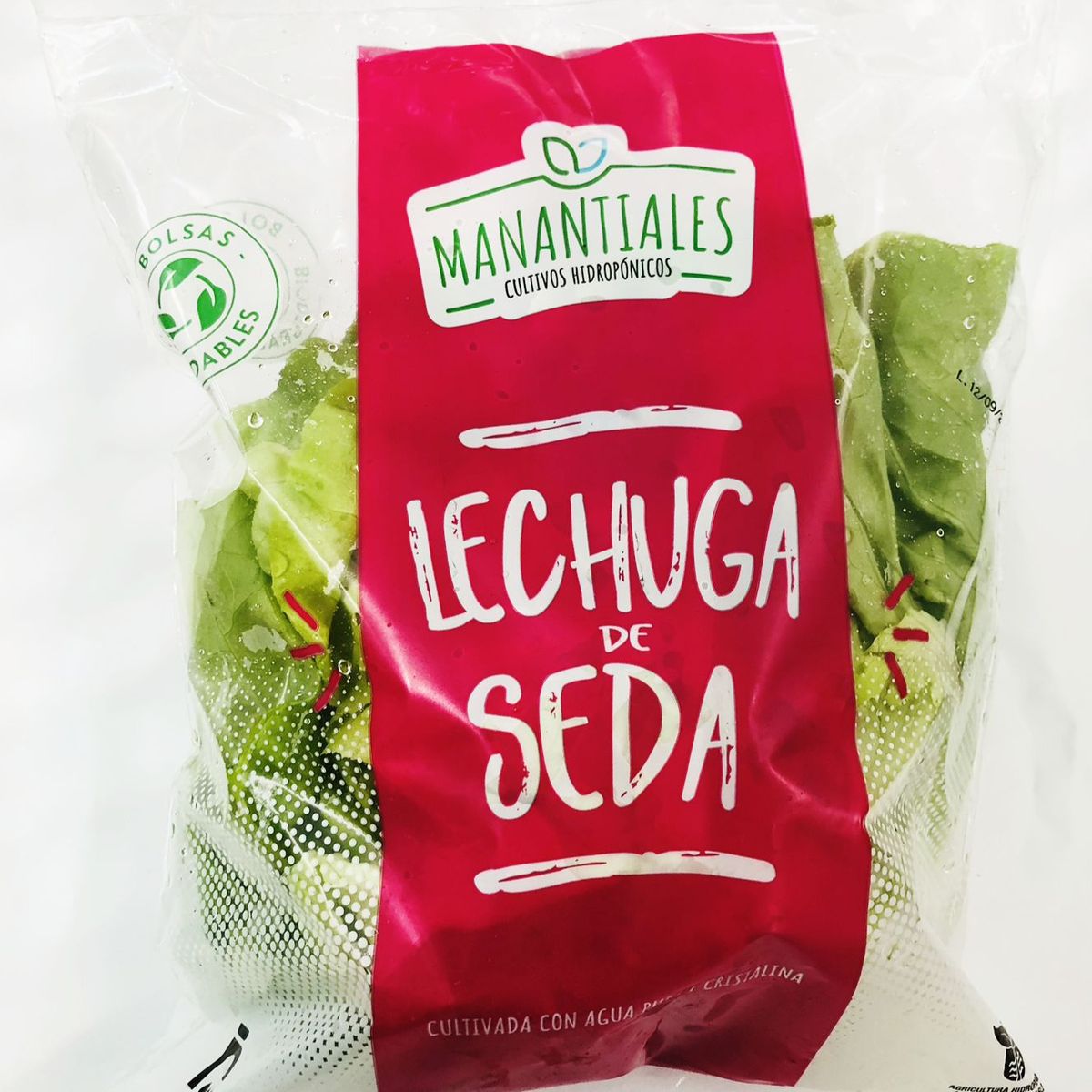MANANTIALES - Lechuga De Seda Hidropónica Manantiales 200 g