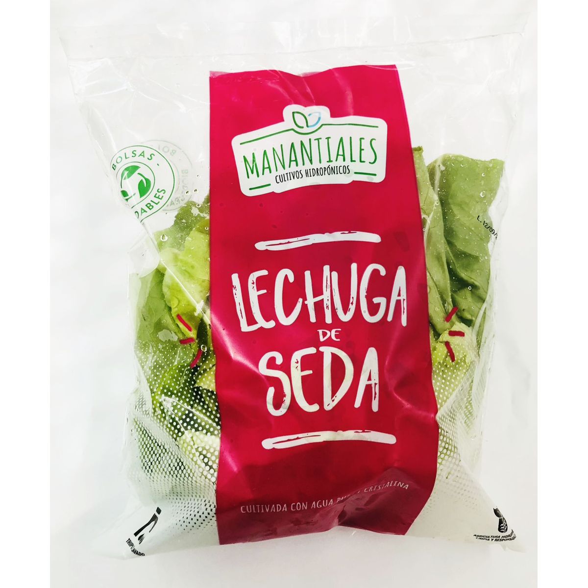 MANANTIALES - Lechuga De Seda Hidropónica Manantiales 200 g