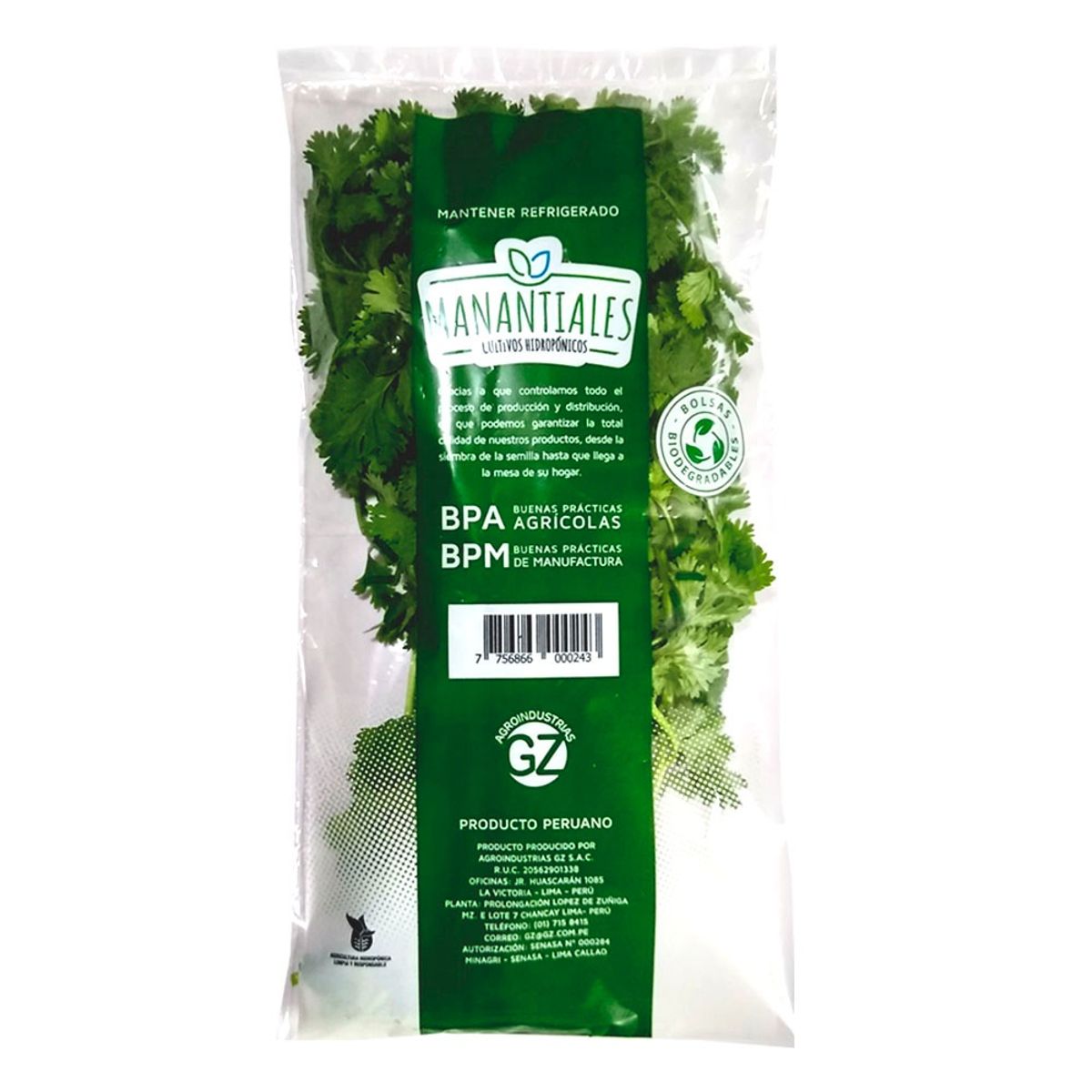 MANANTIALES - Culantro Manantiales x 60 g